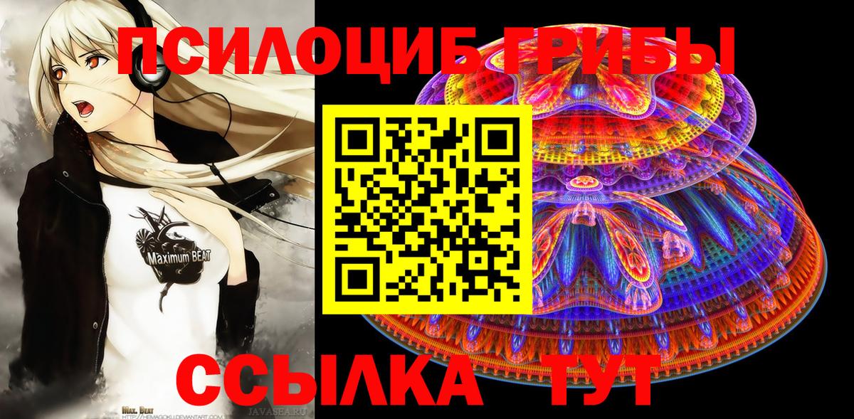 Усть-Илимск  Псилоцибиновые грибы ЛСД  Вход с VPN 