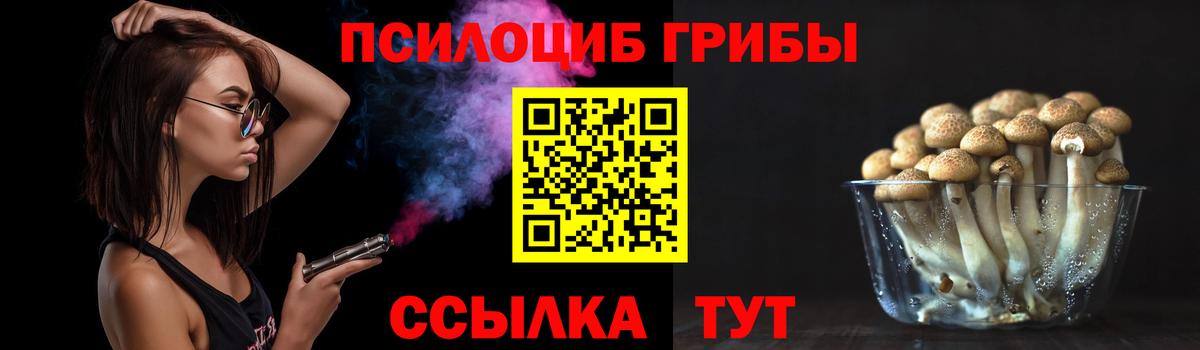 Псилоцибиновые грибы GOLDEN TEACHER Усть-Илимск
